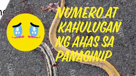 anunsyo ng ahas sa panaginip|12 karaniwang panaginip at kahulugan ng mga ito ayon sa mga .